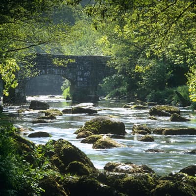 Read more about the article Focus on work to improve River Teign