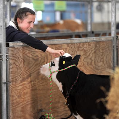 Read more about the article Something for everyone at the Devon County Show