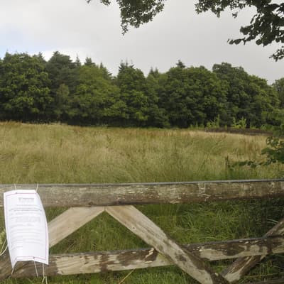 You are currently viewing Gypsy site wins planning appeal
