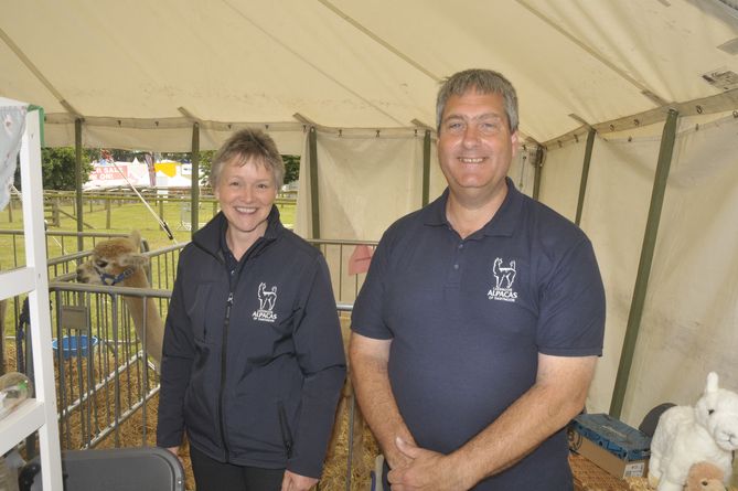 Read more about the article Alpacas aplenty at county show courtesy of Lakemoor