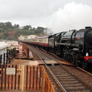 Read more about the article Dawlish – special train visitors steam through