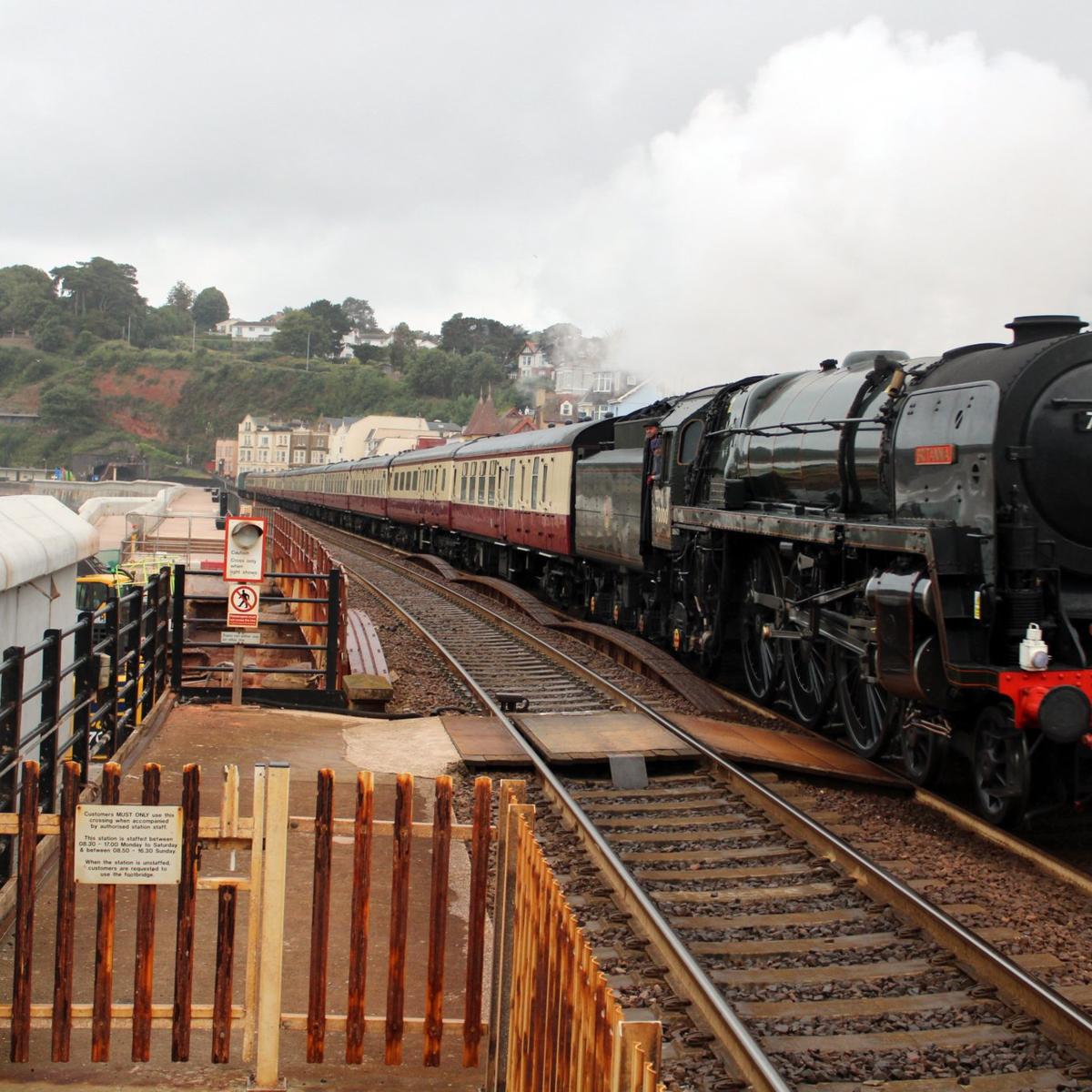 You are currently viewing Dawlish – special train visitors steam through