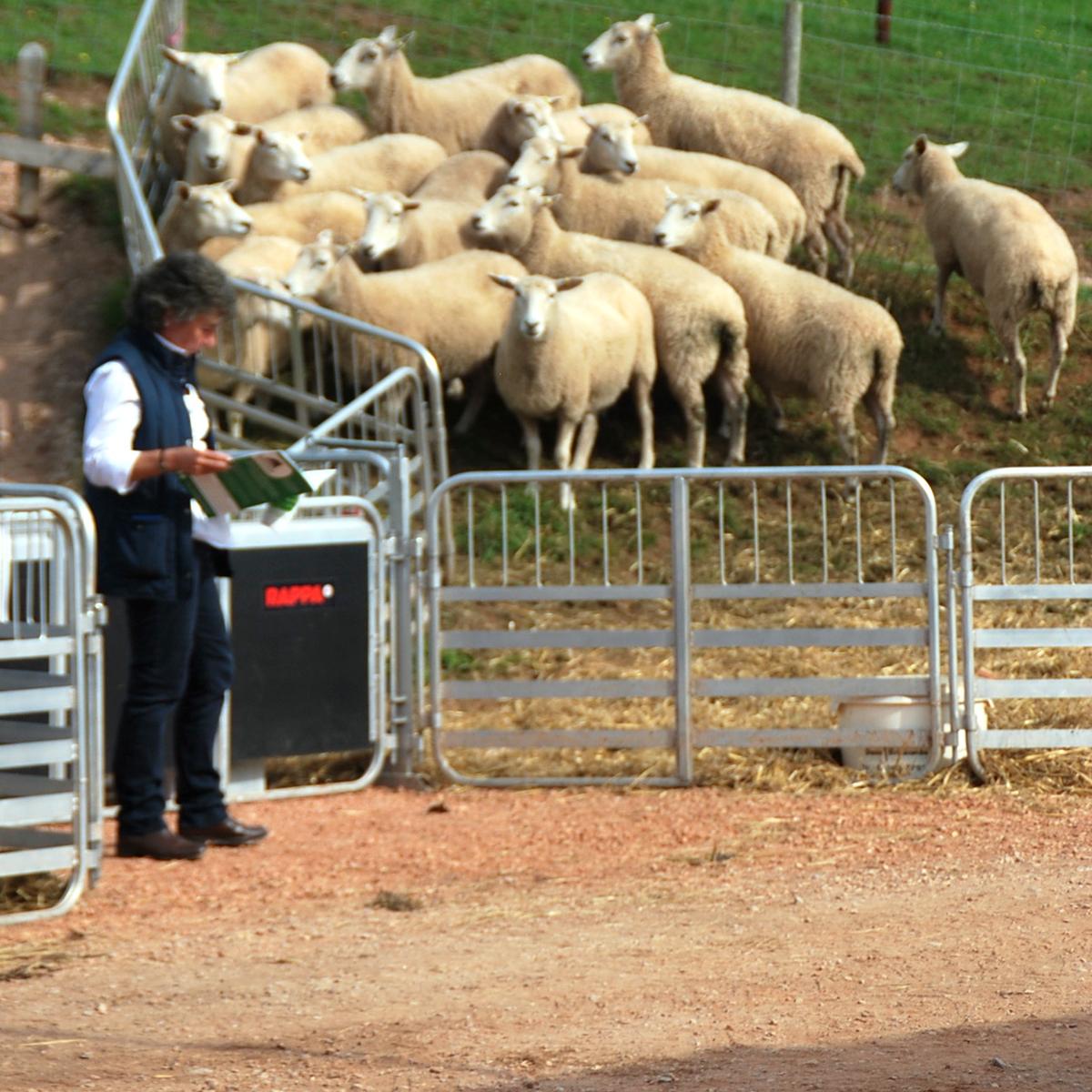You are currently viewing Higher Thornton Farm hosts open day for counties farmers