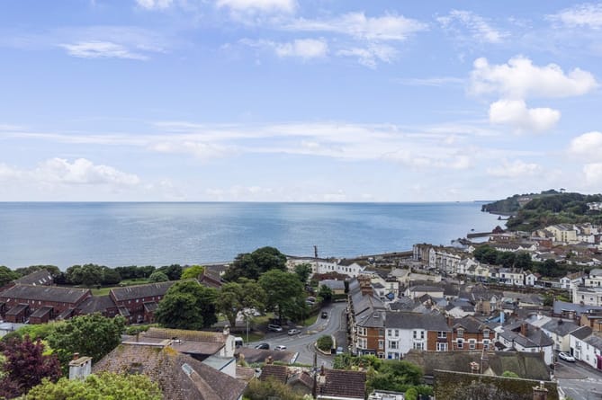 You are currently viewing 1920s hillside home with panoramic sea views has its own grapevine