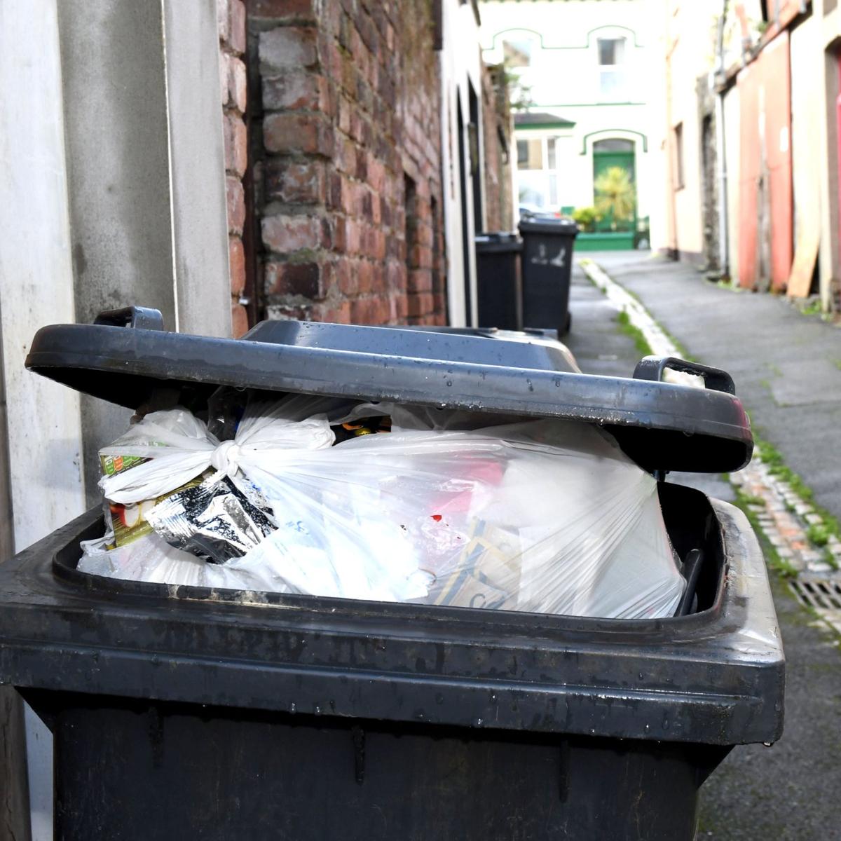 You are currently viewing Bin collections for Christmas across Teignbridge