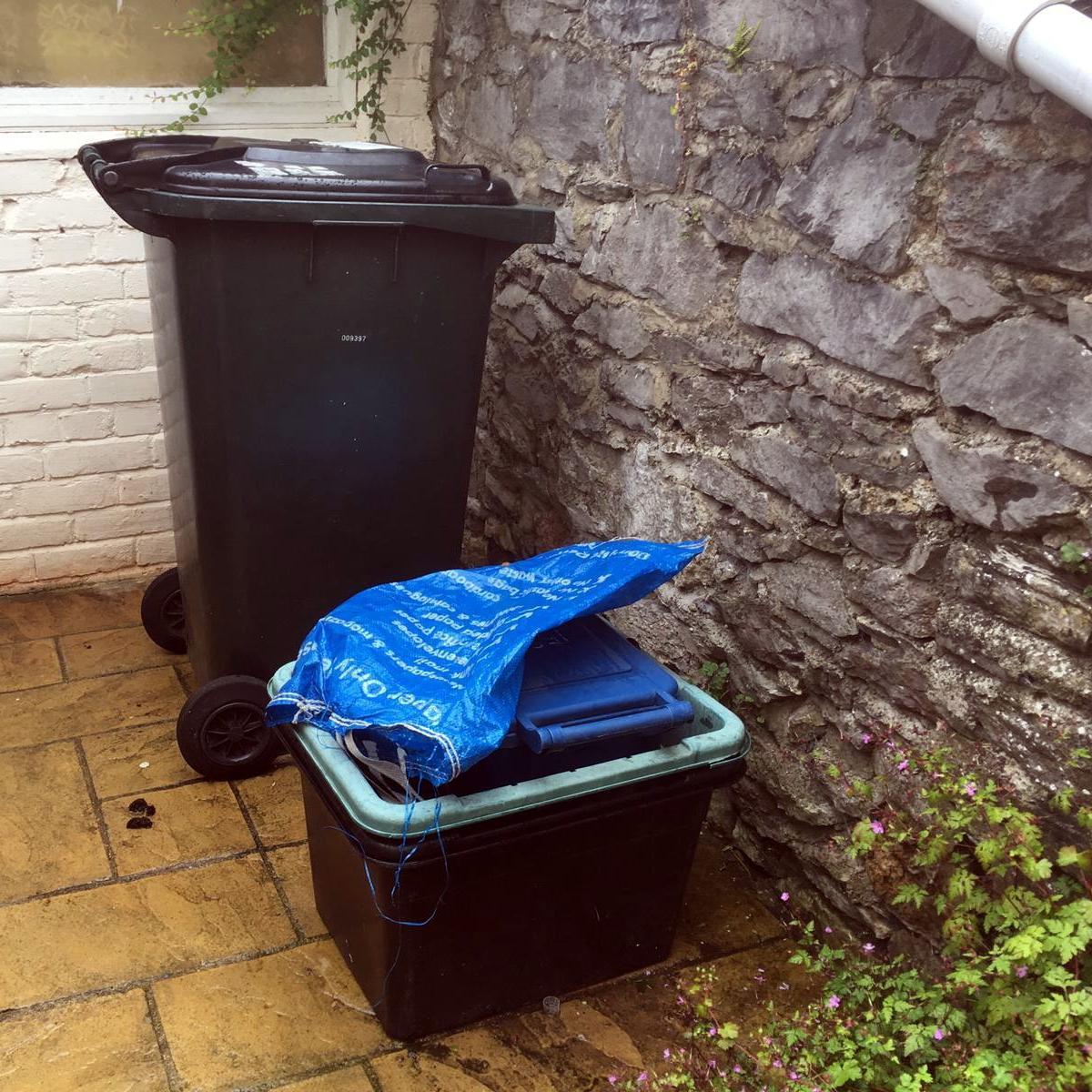 You are currently viewing New year bin collections | dawlish-today.co.uk