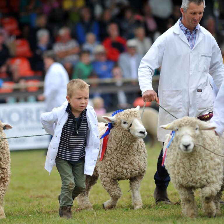 Read more about the article Big plans afoot for Devon County Show
