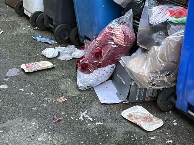 You are currently viewing Call for action on raw meat and rubbish spilling onto Teignmouth street