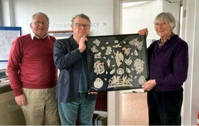 You are currently viewing Shaldon’s Legacy of lace preserved