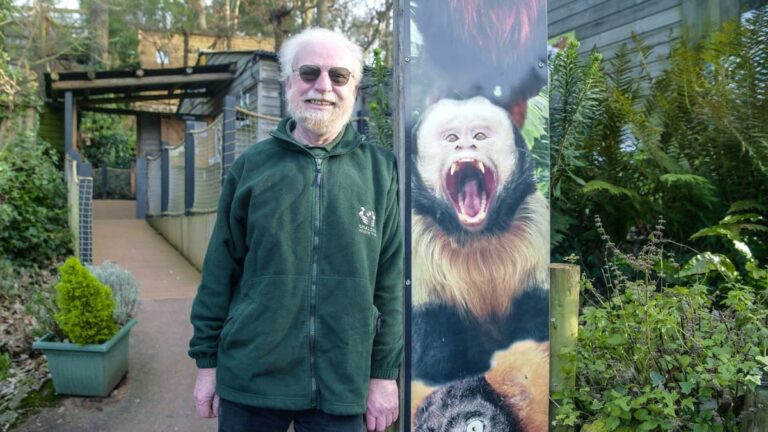 Read more about the article Vote for zoo volunteer Geoff to be a superstar