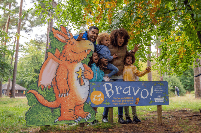 Read more about the article Follow the friendly forest dragon at Haldon Forest Park