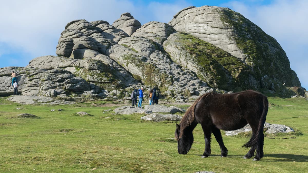 You are currently viewing MPs secure inquiry into management of Dartmoor