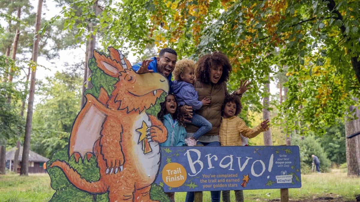 You are currently viewing More Easter holiday fun – follow Zog on the Haldon Forest Trail