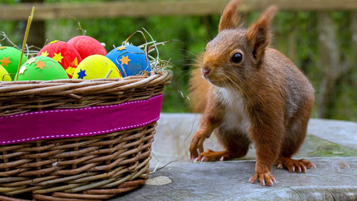 You are currently viewing Pleanty of fun things to do in the Easter holidays
