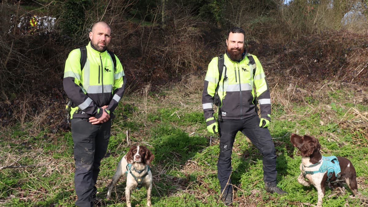 You are currently viewing South West Water uses dogs to sniff out leaks