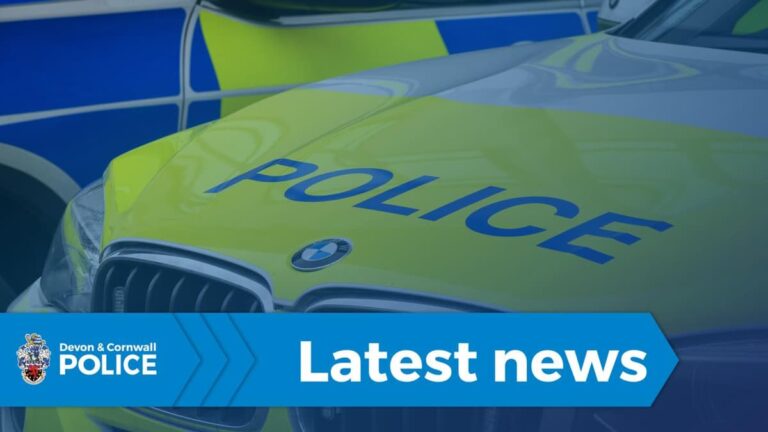Read more about the article Extra police and Dispersal Order in place in crackdown on youth disorder in Teignmouth