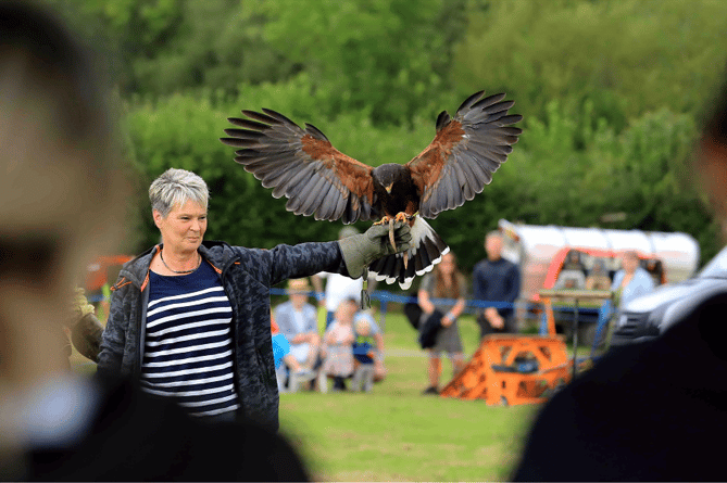 You are currently viewing Picture Special: Lustleigh Show attracts near record breaking numbers