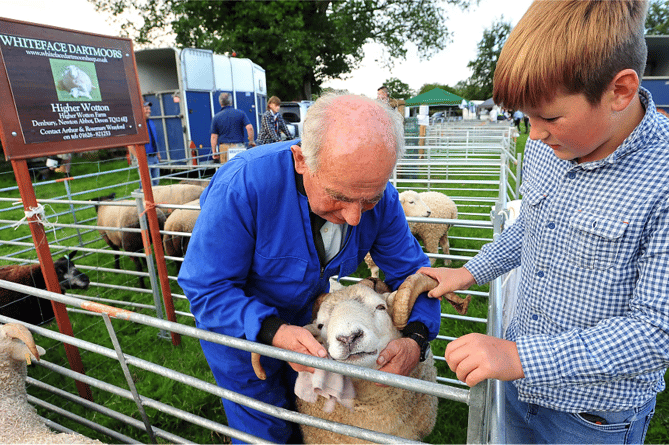 You are currently viewing Picture Special: Widecombe Fair – All along, down along lea